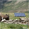 توزیع 16 سیستم خورشیدی در استان مازندران | سایت بورس صنعت برق چکاد